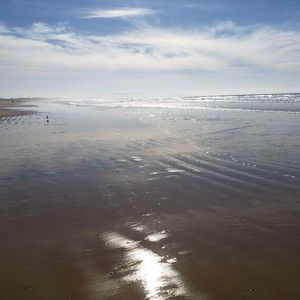 Meet your Posher, Sue